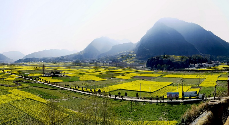 生態(tài)水泥的春（二）