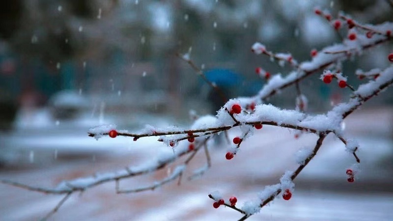 大雪無聲